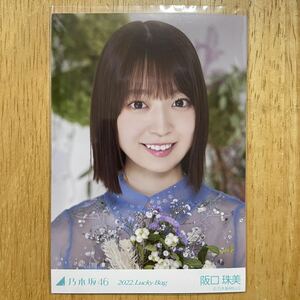 乃木坂46 阪口珠美 カレンダー衣装 生写真 ヨリ 1枚 検) web 限定 福袋 2022.Lucky Bag