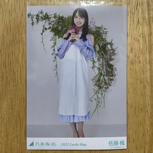 乃木坂46 佐藤楓 カレンダー衣装 生写真 ヒキ 1枚 検) web 限定 福袋 2022.Lucky Bag