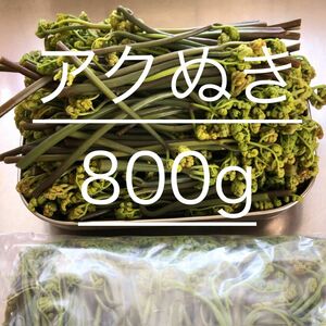 わらび　あく抜き　800g 17