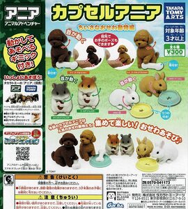 カプセルアニア ちいさなおせわ動物編 全6種 送料無料 ガチャ