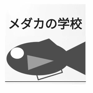 黒天幻龍メダカ　有精卵20個プラスα