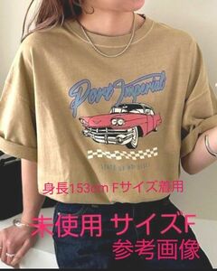 DISCOAT（ディスコート）ユニセックス ピグメントカープリントTシャツ