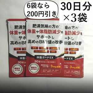 【3袋】体脂ガードEX ダイエットサプリ BCAA カルニチン 30日分3袋 (90日分)