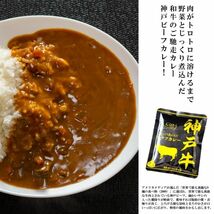 31【五大和牛 神戸牛 近江牛 ご当地カレー 6点セット】 国産 和牛 カレー ビーフカレー レトルトカレー 即席_画像4