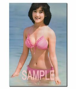 ◇486◇　生 写真　◇　岡田有希子　◇ アイドル　◇