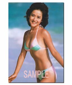 ◇531◇　生 写真　◇　岡田有希子　◇ アイドル　◇