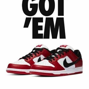 Nike SB Dunk Low Pro J-Pack Chicago/Varsity Red and Whiteナイキ SB ダンク ロー プロ シカゴ 28.5の画像1