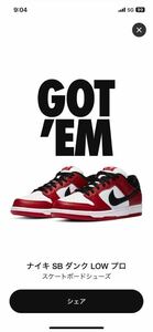 Nike SB Dunk Low Pro J-Pack Chicago/Varsity Red and Whiteナイキ SB ダンク ロー プロ シカゴ　28.5