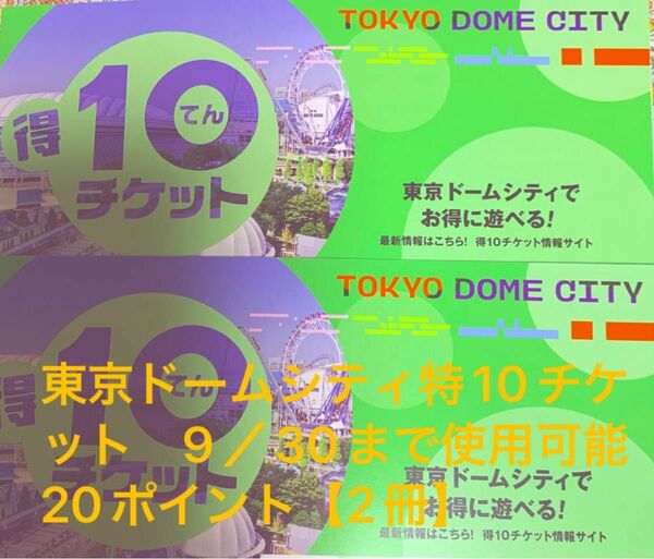 東京ドームシティ　特10チケット　20ポイント