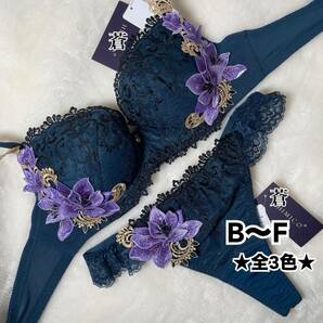 蒼B～D★ノーブルホリデーナイトブラソング★蒼ダークグリーン★蒼Tバック★蒼レースショーツ★蒼3点セット★サルート好きに★蒼～F80