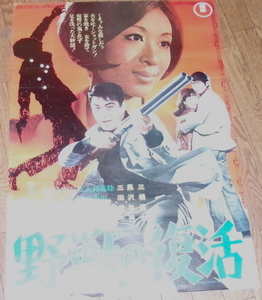 古い映画ポスター「野獣の復活」　三橋達也　三田佳子