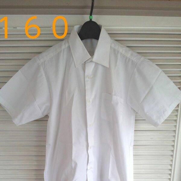 スクールシャツ　 半袖 　 白