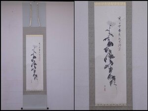 Art hand Auction ★Snow Mountain, hand-painted [Hanging scroll Chrysanthemum with box] Paper, width 41 x total length 184 cm, Autumn, Tea ceremony utensils, ink painting, calligraphy, Artwork, Painting, Ink painting