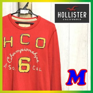 ME3-727★USA買付品★VINTAGE GOODデザイン【HOLLISTER ホリスター】刺繍&アップリケ 豪華 ビンテージ 長袖 Tシャツ【メンズ M】赤 古着