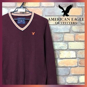 ME8-794★美品★mixカラー★エンジ【American Eagle アメリカンイーグル】リブライン Vネック コットン セーター【メンズ xs】