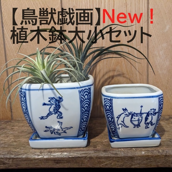 【鳥獣戯画大小1セット】　植木鉢　大小　皿付　多肉植物　縁起物　蛙　兎 青海波　鉢　プランター　盆栽　苔　和風