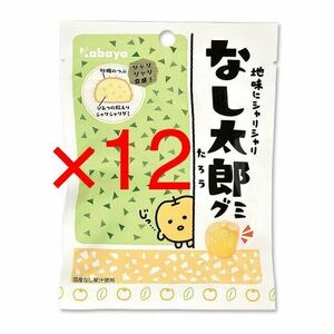 【送料無料・訳アリ特価・¥42.5/袋】 カバヤ食品 Kabaya 地味にシャリシャリ なし太郎グミ 42g 12袋 | ミニチュア梨をテーマにしたグミ。ス