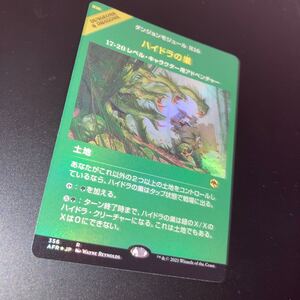 foil ハイドラの巣　ギャザリング mtg フォーゴトン　レルム探訪