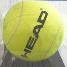 f002 E2 錦織圭選手直筆サイン入り HEAD サイン用 テニス ジャンボボール IPTL international premier tennis league_画像6