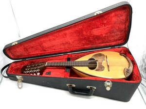 [..] * mandolin SUZUKI M-30 hard case attaching stringed instruments Suzuki wooden musical instruments NAGOYA MDZ01MNB02