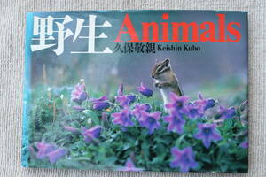 ●　 久保敬親　「野生 Animals」　写真集　山と渓谷社