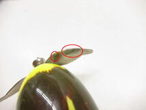 チムシ(痴虫)　小さい海馬55_画像5