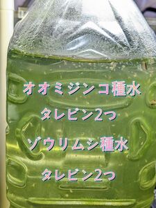オオミジンコ種水(タレビン2つ)+ゾウリムシ種水(タレビン2つ)☆お得なスターターセット☆