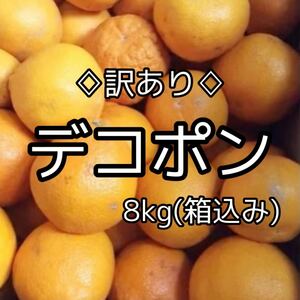 訳ありデコポン　8kg