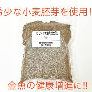 低水温対応金魚のエサ真空パックミシロ彩金魚胚芽育成用 細粒 沈下性 150ｇ らんちゅう・土佐金・オランダ・東錦にも最適な金魚の餌