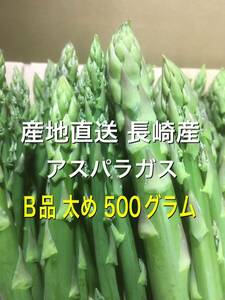  производство прямой Nagasaki производство спаржа B товар futoshi .500 грамм 