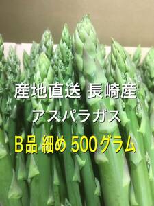  production direct Nagasaki production asparagus B goods small .500 gram 