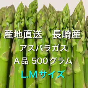 産直長崎産アスパラガスL.Mサイズ 500グラム