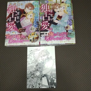 冒頭説明重要【 極上騎士団長の揺るぎない独占愛 全2巻全巻初版帯付き 】直江亜季子 黒乃梓/イラストカード/