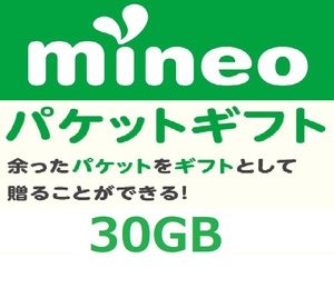 パケットギフト 9,999MB×3 (約30GB) 即決 mineo マイネオ 匿名 容量希望対応