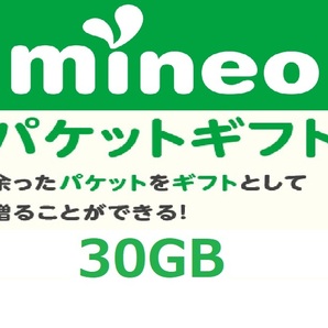 パケットギフト 9,999MB×3 (約30GB) 即決 mineo マイネオ 匿名 容量希望対応 複数出品の画像1