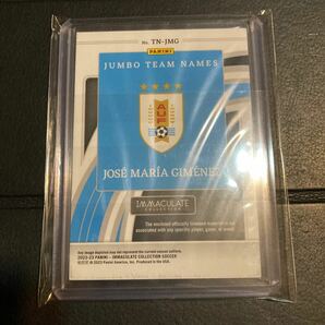 Panini immaculate jose maria gimenez jumbo team names 49シリの画像2