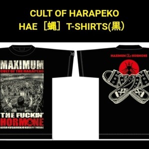 即決送料込●マキシマムザホルモン/ cult of HARAPEKO hae 蠅Tシャツ/Sサイズ/未使用未開封 検)マンウィズ/ELLEGARDEN/MAN WITH A MISSIONの画像4