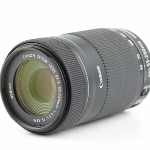 06697cmrk Canon EF-S 55-250mm F4-5.6 IS STM 望遠 ズームレンズ APS-C用 EF-S EFマウントの画像8