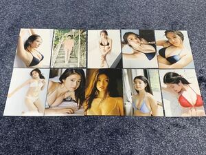  now rice field beautiful Sakura ② photograph 50 sheets 