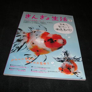 きんぎょ生活 no.3 月刊アクアライフ増刊 金魚愛玩誌 らんちう らんちゅうの画像1
