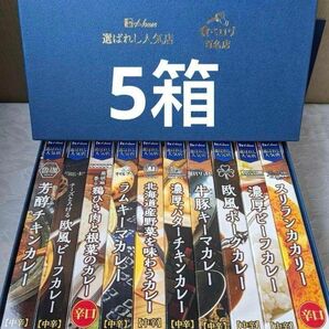 【新品未開封】食べログ百名店　選ばれし人気店　 詰め合わせ　カレー10食×5箱