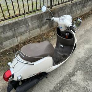 ★熊本発 ホンダ ジョルノ 50cc 型式：AF70 廃車済み★の画像3