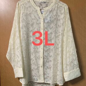 【③】◯◯ 花柄シアーで透け感控えめ大人のすっきりシアーシャツ　hinaオフホワイト 3L シャツ ブラウス アイボリー 長袖