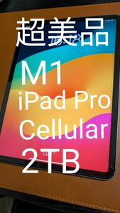 【超美品】M1 iPad Pro 11インチ 第三世代 2TB