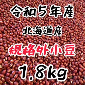 【規格外】 令和5年産 北海道産 小豆 きたのおとめ 1.8kg 新豆