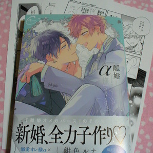 4/18発売●離婚しやがれ、α様 love nest●コミコミ特典ペーパー&店舗共通特典ペーパー付●紺色ルナ～送料無料の画像1