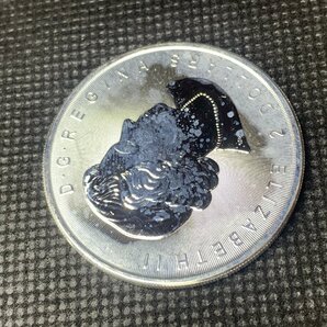 23.32グラム 2017年 (新品) カナダ 「ウルフ・狼・オオカミ」純銀 3/4オンス 銀貨の画像6