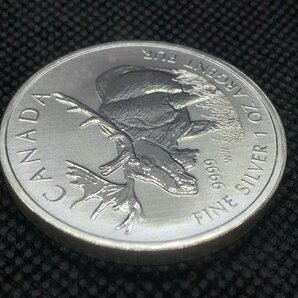 31.1 グラム 2012年 (新品) カナダ「ヘラジカ・ムース」 5ドル 純銀 1オンス 銀貨の画像5