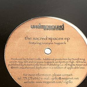 UNDERGROUND EVOLUTION the sacred spaces EP 12インチ レコード 検 Robert Grillo ディープハウス Grayna Augucik Ben Lewisの画像3