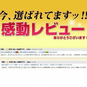 訳ありB級品◆豪華内容 アウトドア福袋 アウトドア商品3点+雑貨商品10点  ###訳アウト福袋3+10+3/160###の画像10